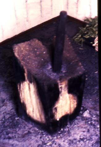 MEDULA DETALLE 1990